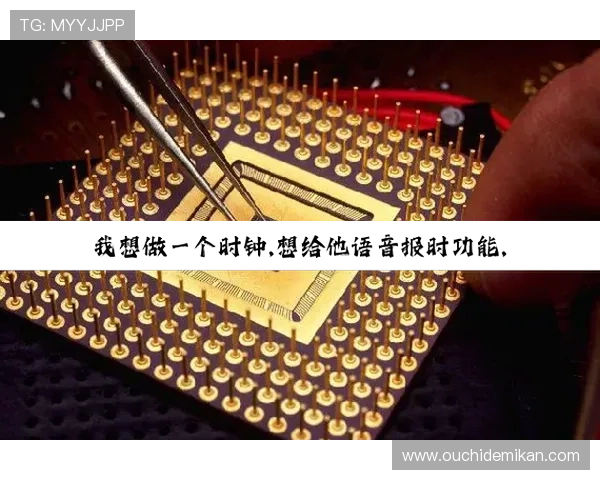 探秘尊龙凯时地址登录入口背后的安全措施与保障