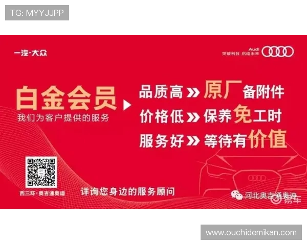 尊龙体育网站VIP会员权益详解享受专属优惠和优先服务